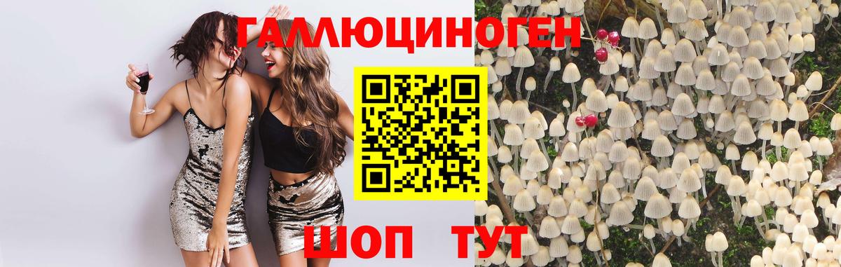 Галлюциногенные грибы Magic Shrooms Можга
