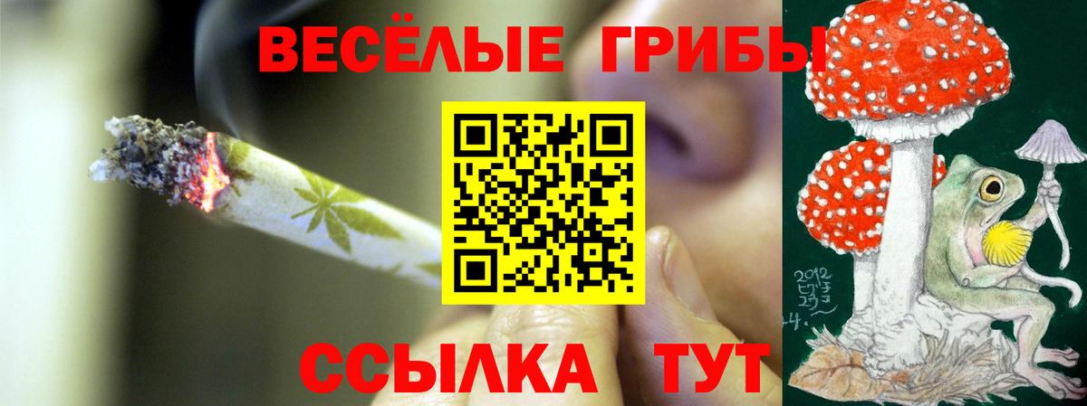 ГАШИШ Можга
