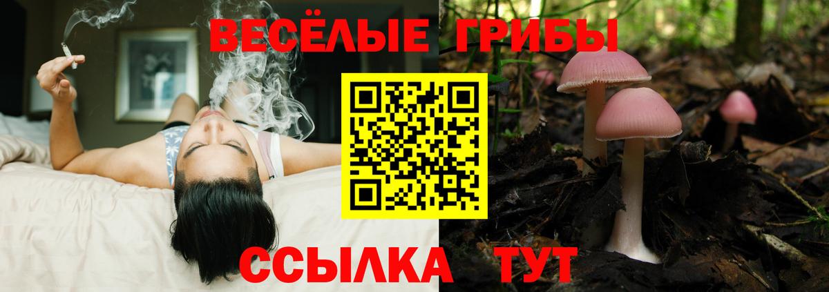 Псилоцибиновые грибы ЛСД  Вход с VPN  Можга 